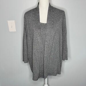 Rafaella sweater set size 2x